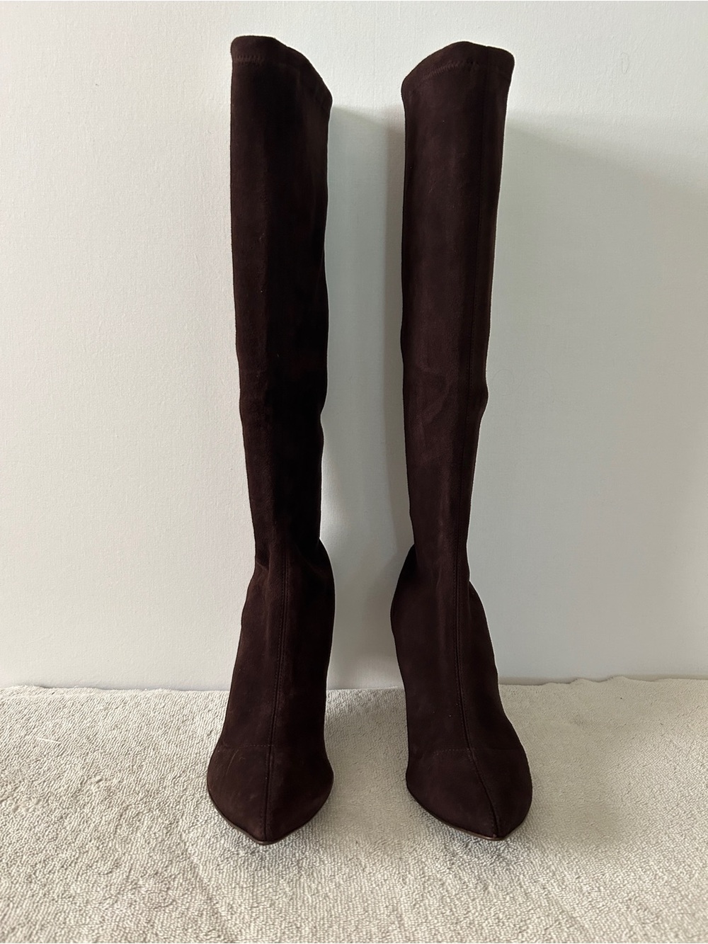 Delman Women’s Tall Pointed-Toe Suede Boots in Dark Brown